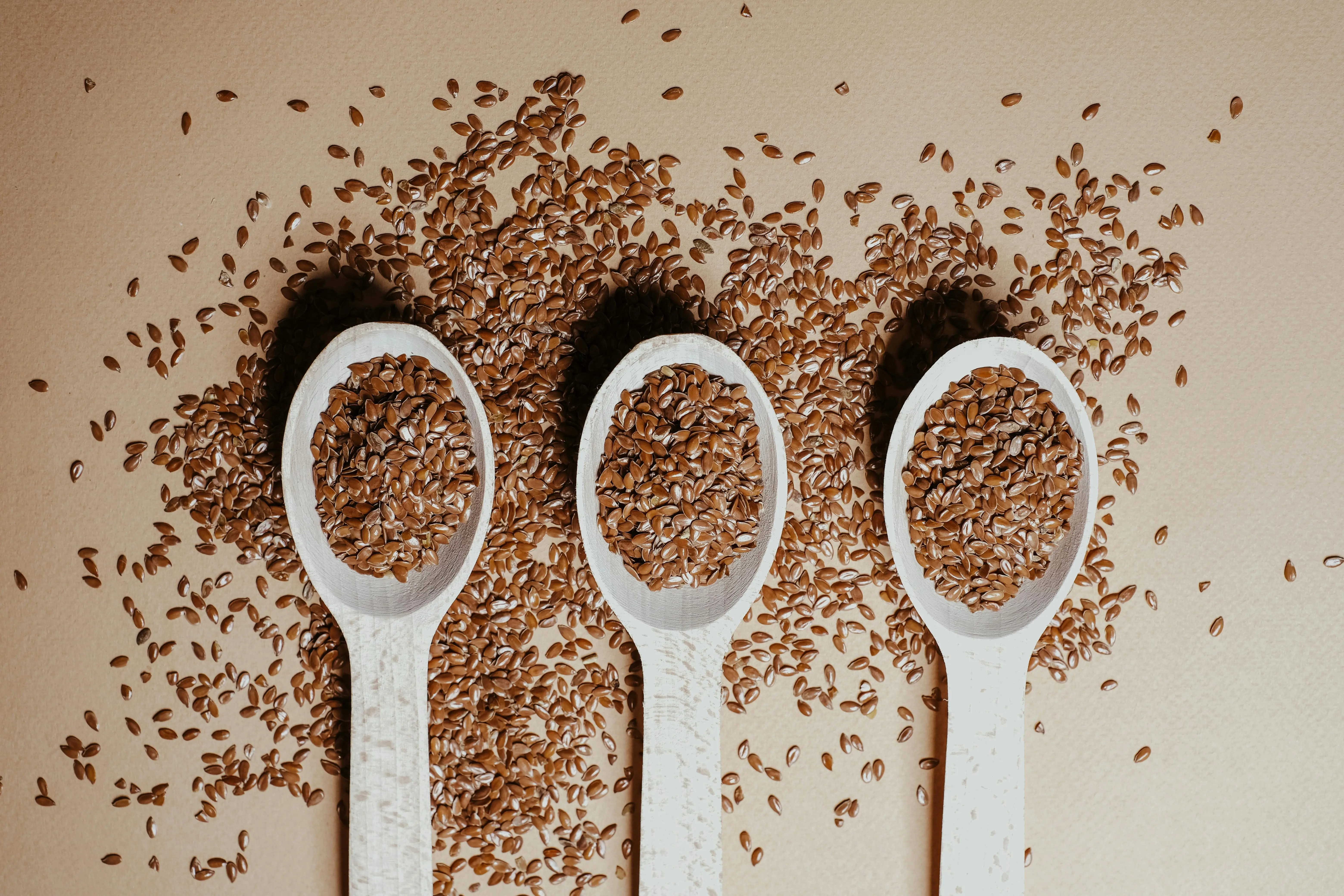 Harvest Hybrid Seed Company